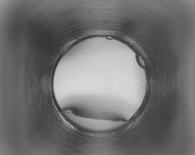 X0000082161033200702162229