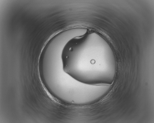 X0000082161034200702162229