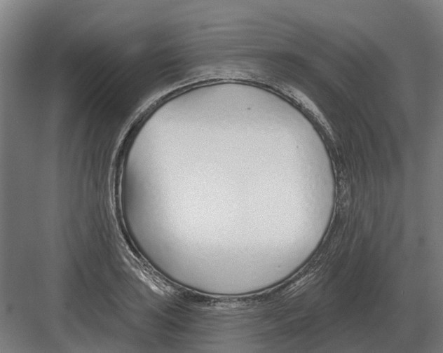 X0000082161035200702162229