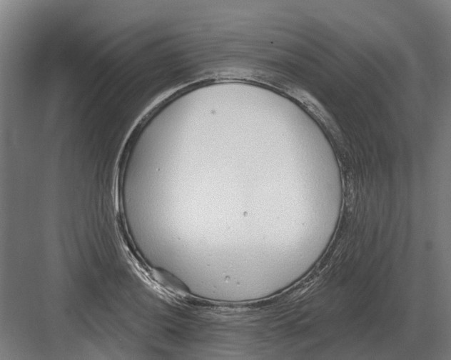 X0000082161036200702162229