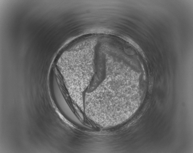 X0000082161037200702162229