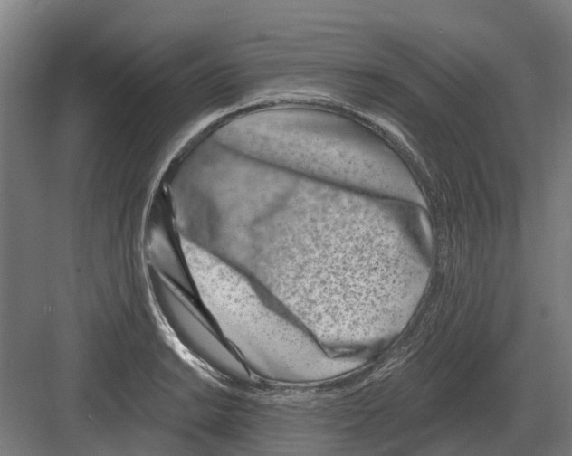 X0000082161038200702162229