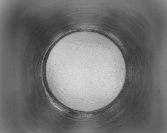 X0000082161039200702162229