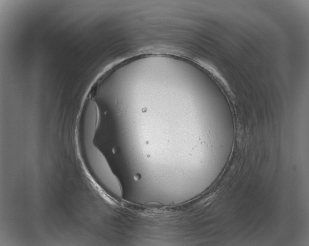 X0000082161040200702162229