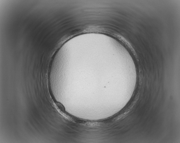 X0000082161041200702162229