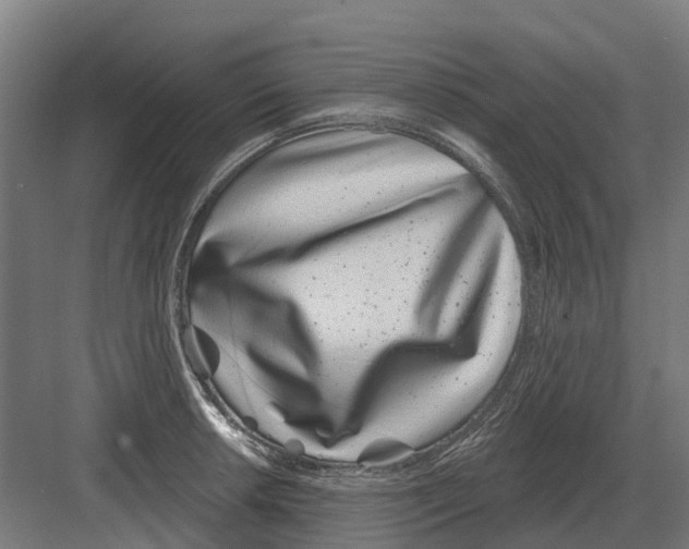 X0000082161042200702162229