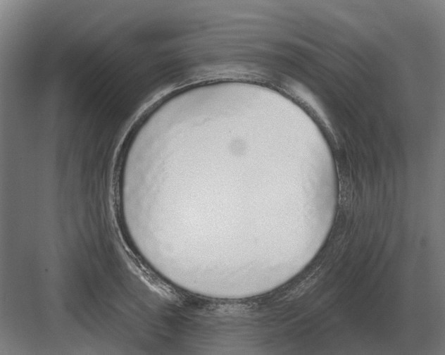 X0000082161043200702162229