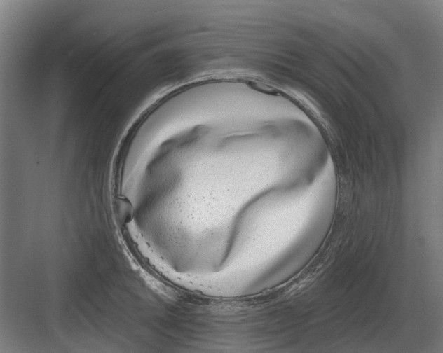 X0000082161046200702162229