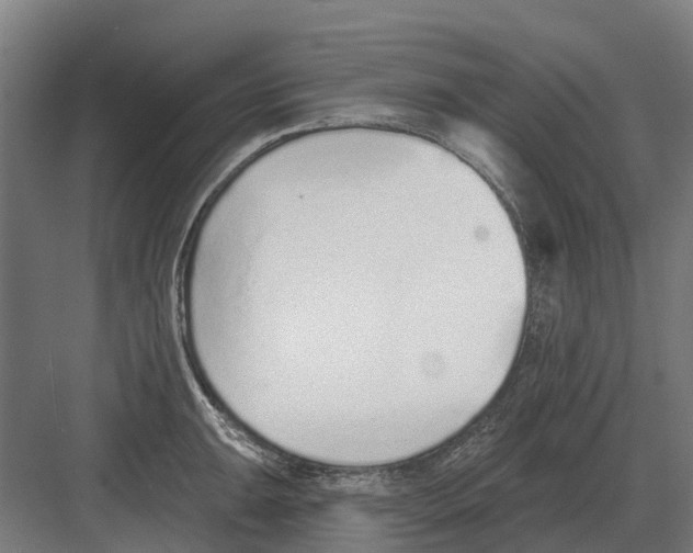 X0000082161047200702162229