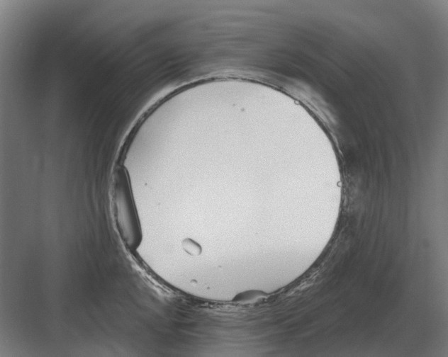 X0000082161048200702162229