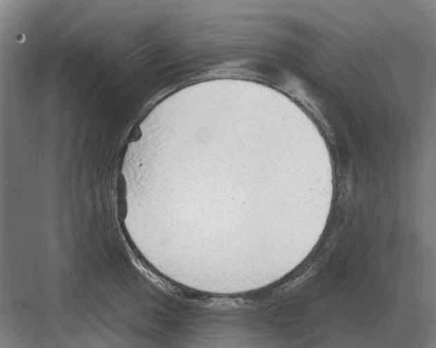 X0000082161049200702162229