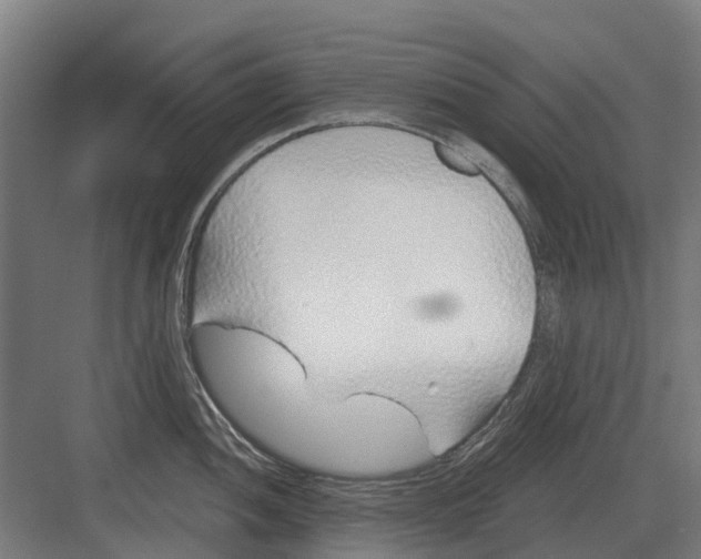 X0000082161052200702162229