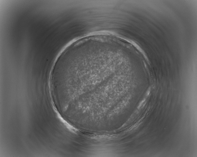 X0000082161054200702162229