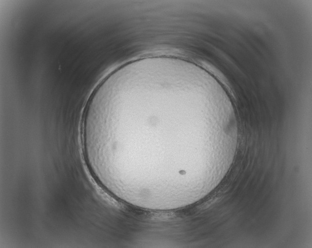 X0000082161055200702162229