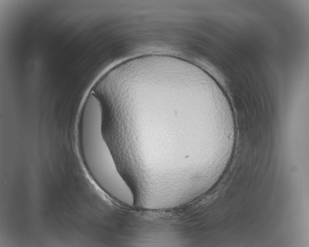 X0000082161056200702162229