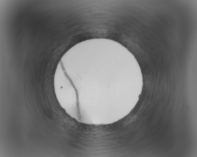 X0000082161057200702162229