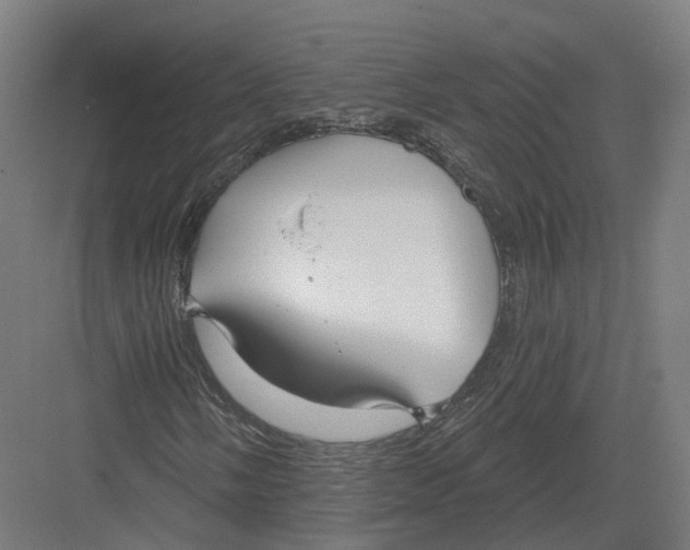 X0000082161058200702162229