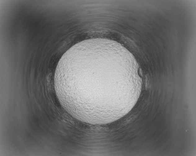 X0000082161059200702162228