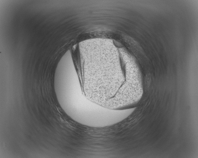 X0000082161060200702162228