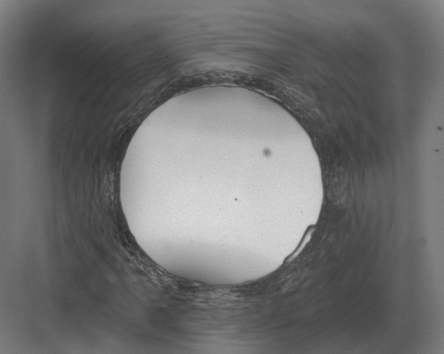 X0000082161061200702162228