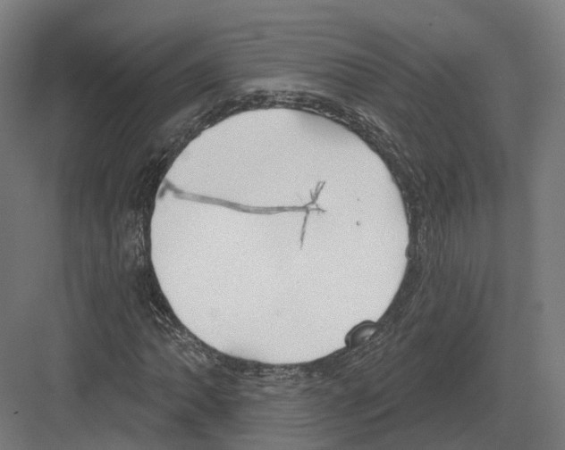 X0000082161062200702162228