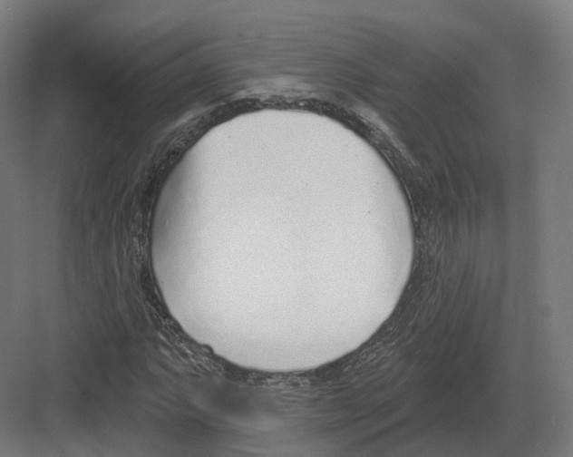 X0000082161063200702162228