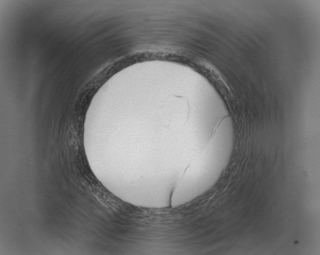 X0000082161064200702162228