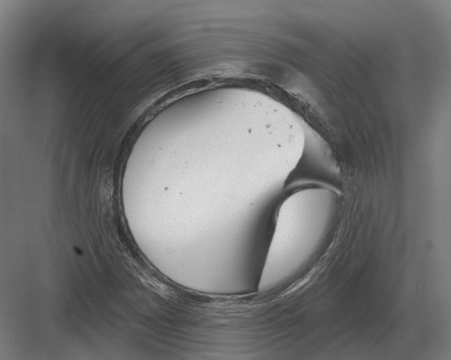 X0000082161065200702162228