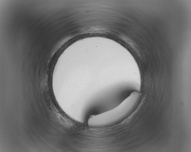 X0000082161066200702162228