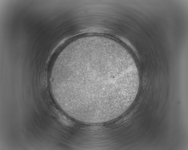 X0000082161067200702162228