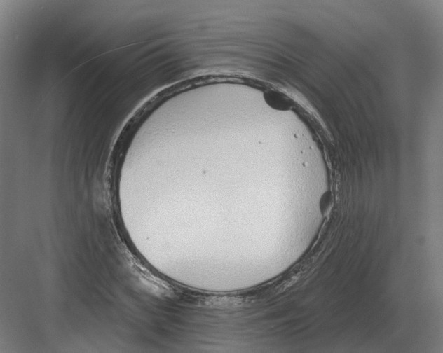 X0000082161068200702162228