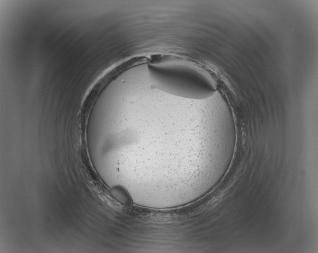 X0000082161069200702162228