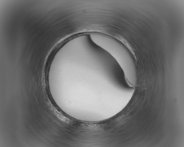 X0000082161072200702162228