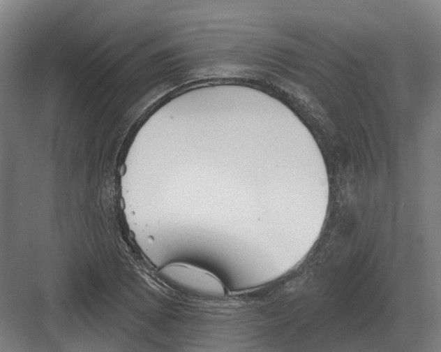 X0000082161073200702162228