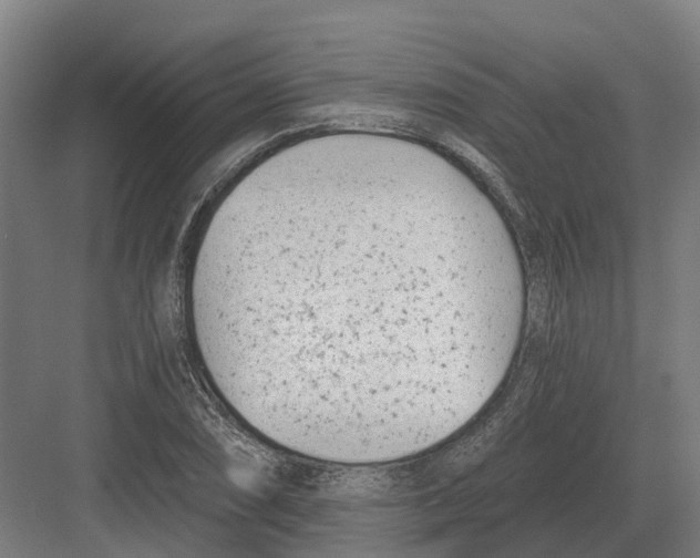 X0000082161074200702162228