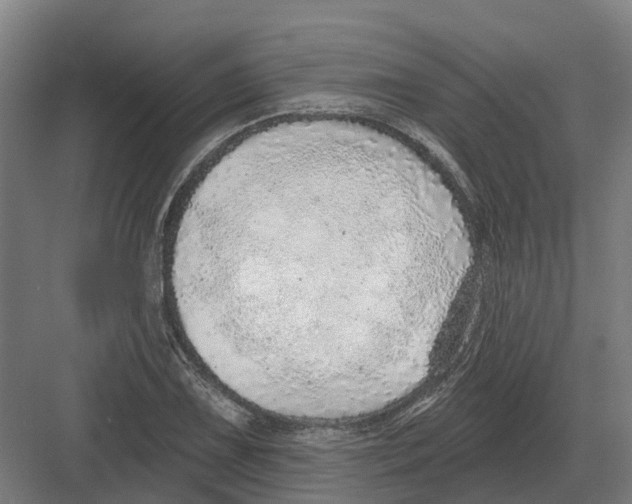 X0000082161075200702162228