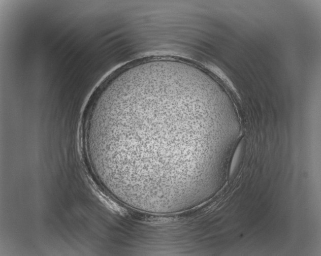 X0000082161076200702162228