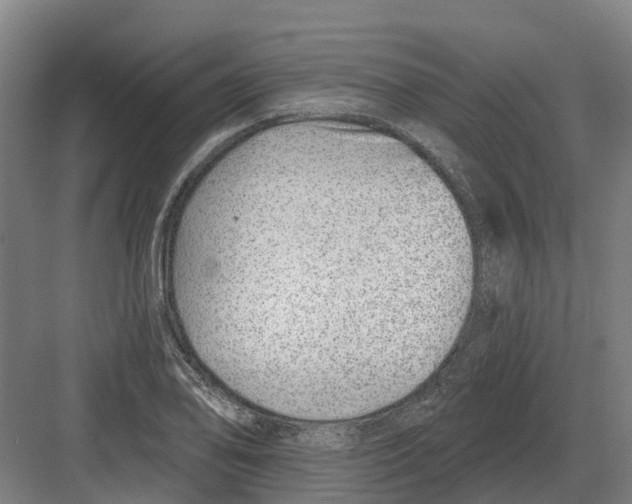 X0000082161078200702162228