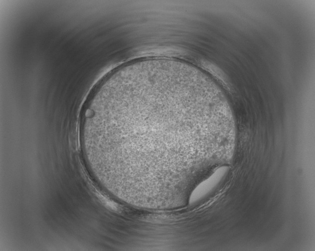 X0000082161079200702162228