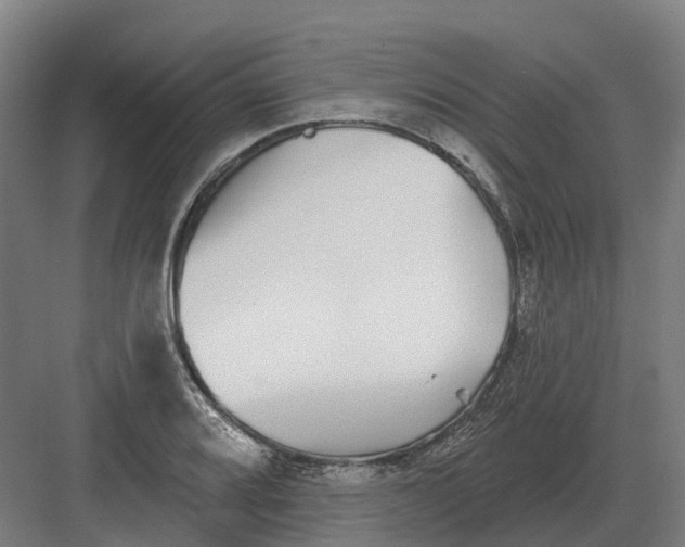 X0000082161080200702162228