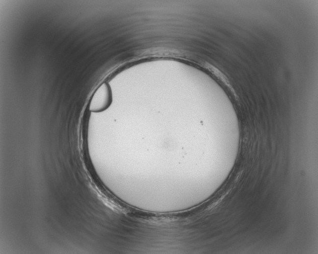 X0000082161082200702162228