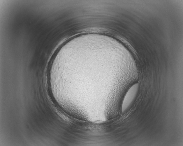 X0000082161083200702162228