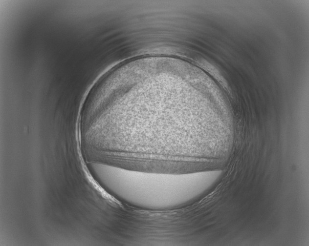 X0000082161084200702162228