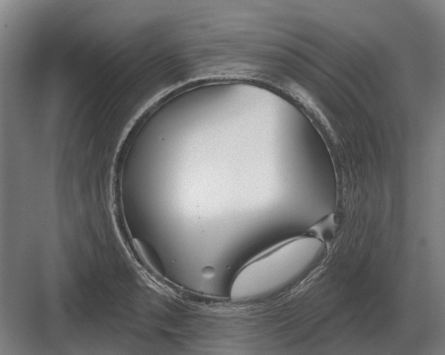 X0000082161085200702162228