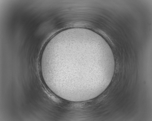 X0000082161086200702162228