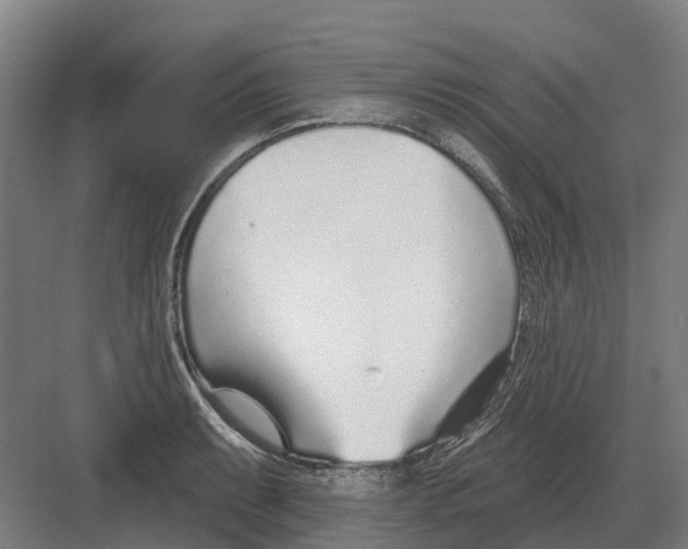 X0000082161087200702162228