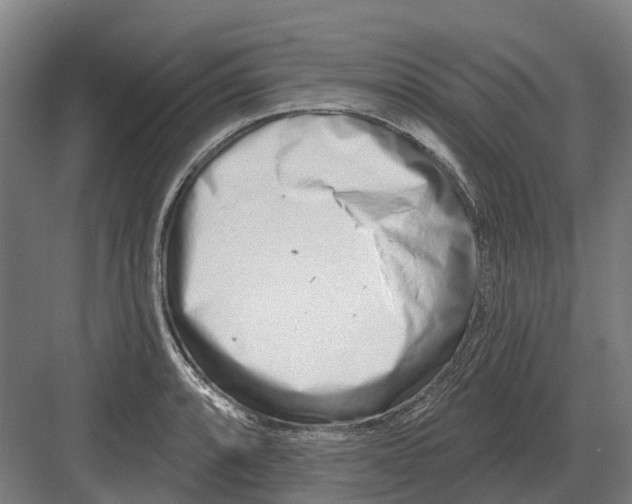 X0000082161088200702162228