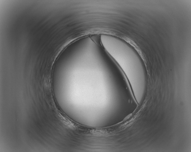 X0000082161089200702162228