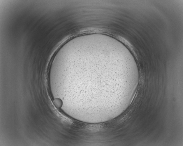 X0000082161090200702162228