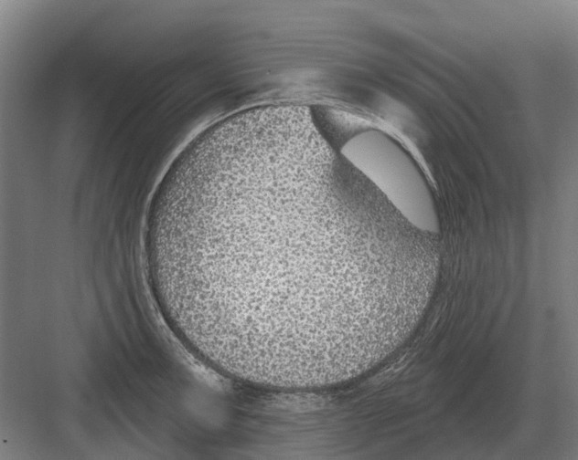 X0000082161091200702162228